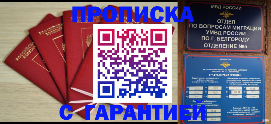 миграционный учет в Приозерске
